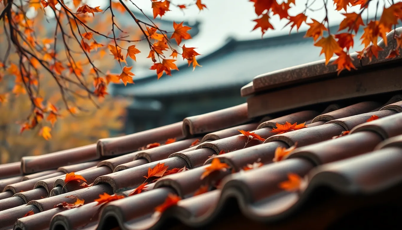 제주 새별오름의 황금빛 억새 풍경